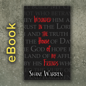 Wounded In The House of My Friends eBook