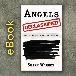 Angels Declassified eBook