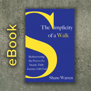 The Simplicity of a Walk eBook