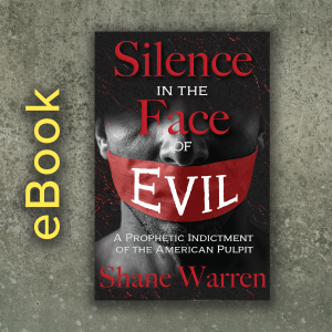 Silence in the Face of Evil eBook